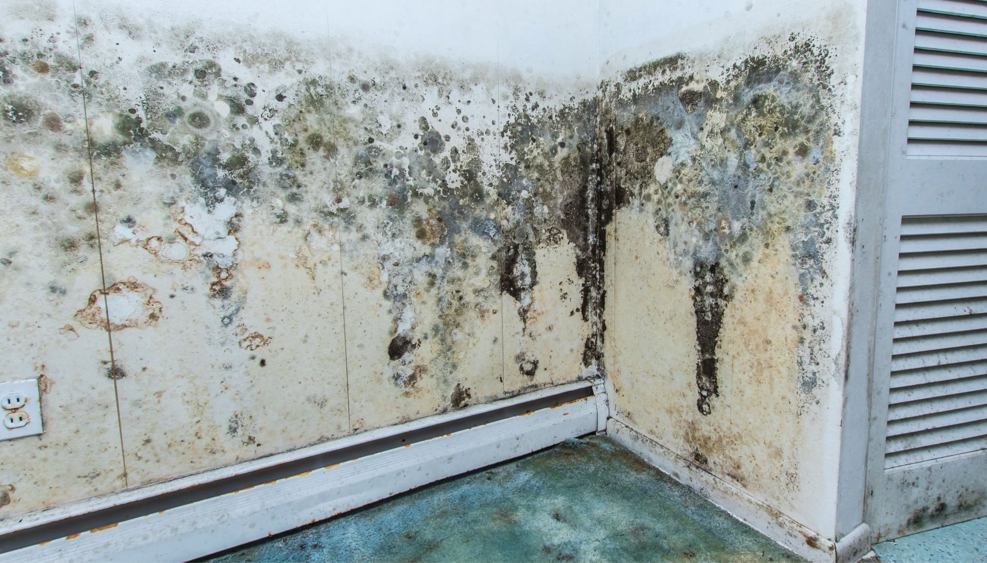 Professional mold removal, odor control, and water damage restoration service in Wichita, Kansas.