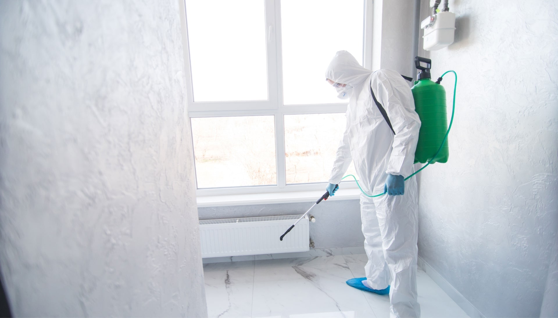 We provide the highest-quality mold inspection, testing, and removal services in the Wichita, Kansas area.